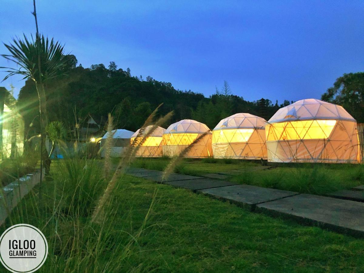 Igloo Glamping Bali Hotel Kintamani  Ngoại thất bức ảnh