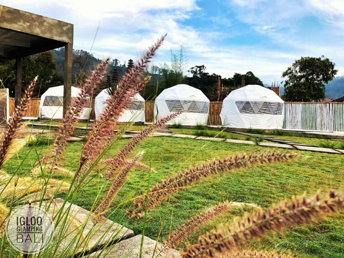 Igloo Glamping Bali Hotel Kintamani  Ngoại thất bức ảnh