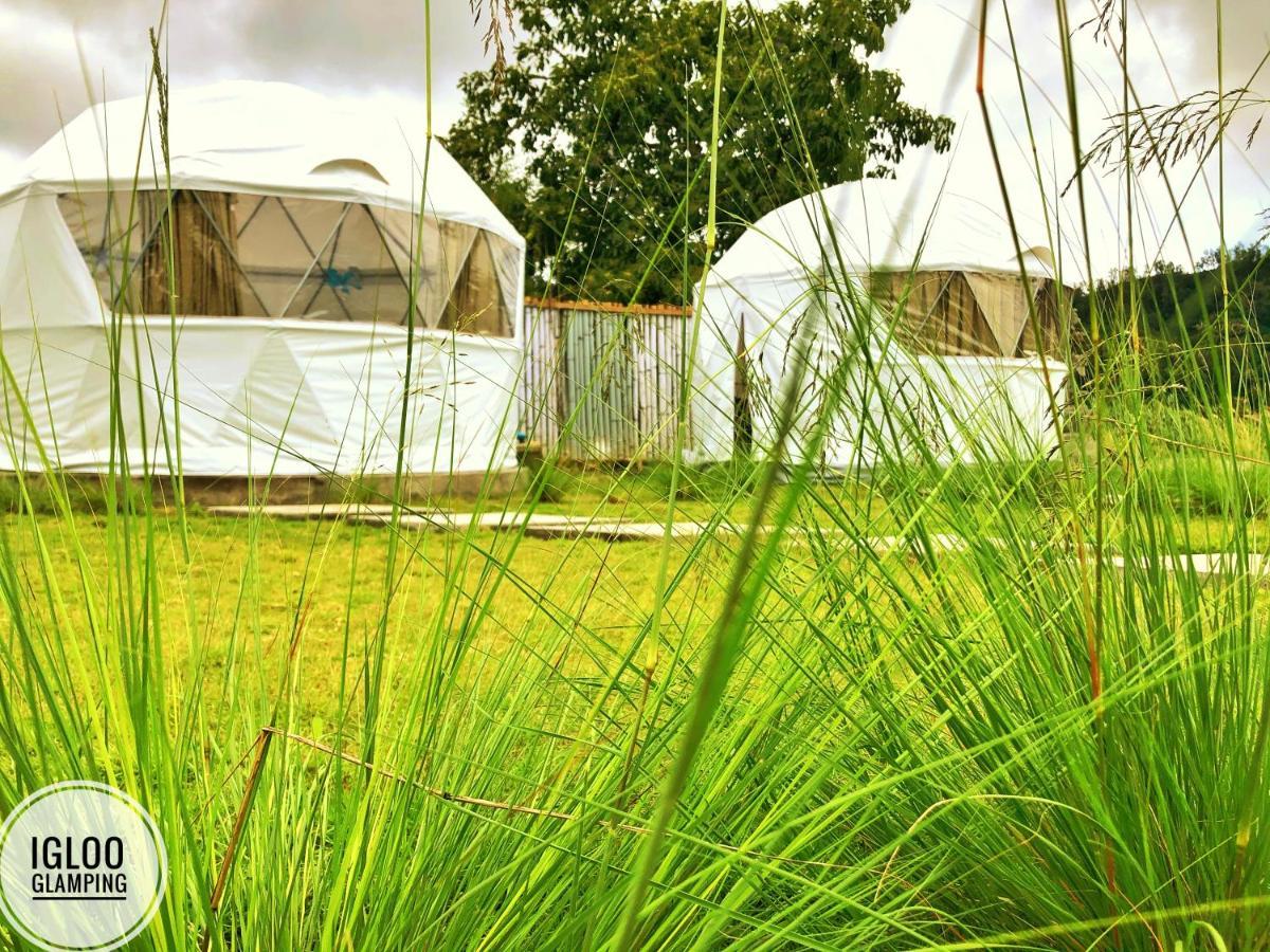 Igloo Glamping Bali Hotel Kintamani  Ngoại thất bức ảnh